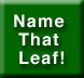 Name That Leaf
