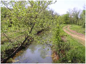 Galloway Creek