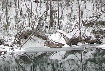 Bryant Creek in Winter